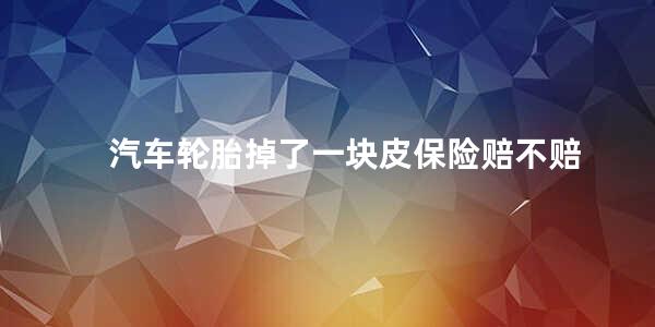 汽车轮胎掉了一块皮保险赔不赔