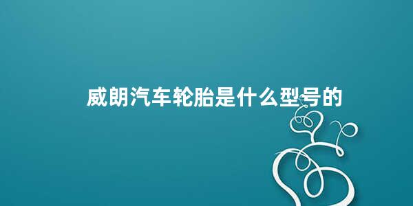 威朗汽车轮胎是什么型号的