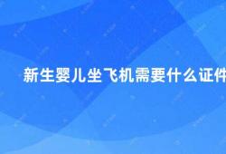 新生婴儿坐飞机需要什么证件(新生婴儿坐飞机家长必须知道的证件事项)