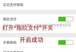 怎么设置微信支付用指纹支付功能(微信支付为什么不能使用指纹支付)